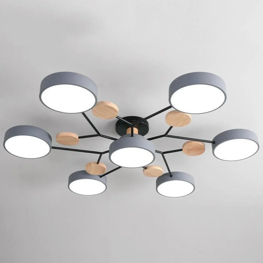 Contemporary LED Acrylic Iron Ceiling Light for Living Room