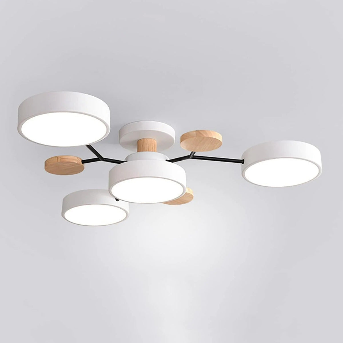 Contemporary LED Acrylic Iron Ceiling Light for Living Room
