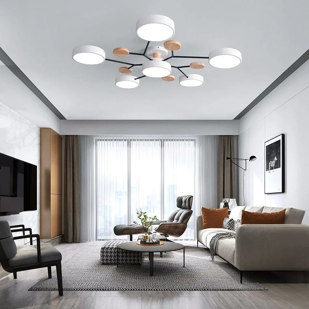 Contemporary LED Acrylic Iron Ceiling Light for Living Room