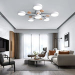 Contemporary LED Acrylic Iron Ceiling Light for Living Room