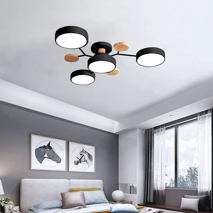 Contemporary LED Acrylic Iron Ceiling Light for Living Room