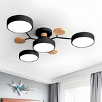 Contemporary LED Acrylic Iron Ceiling Light for Living Room