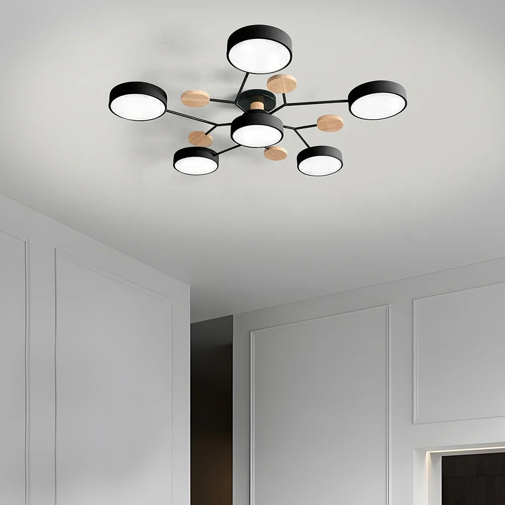 Contemporary LED Acrylic Iron Ceiling Light for Living Room