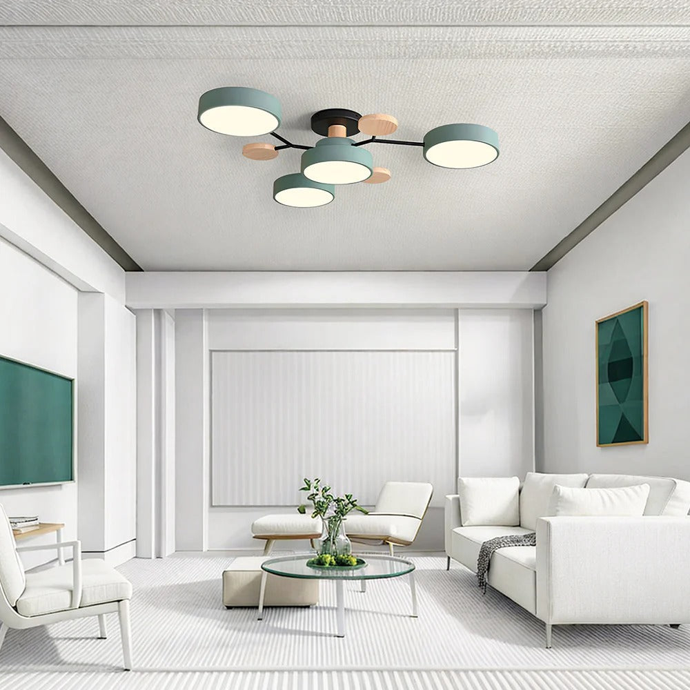 Contemporary LED Acrylic Iron Ceiling Light for Living Room