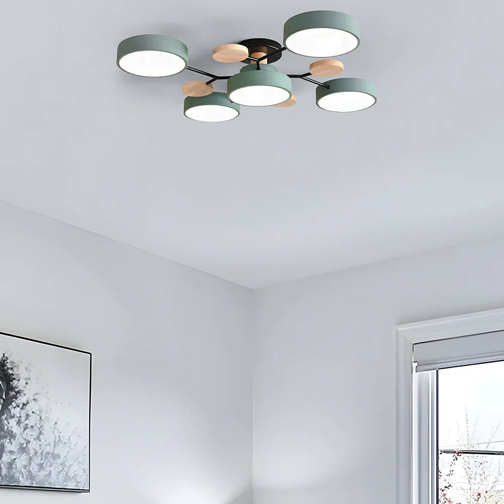 Contemporary LED Acrylic Iron Ceiling Light for Living Room
