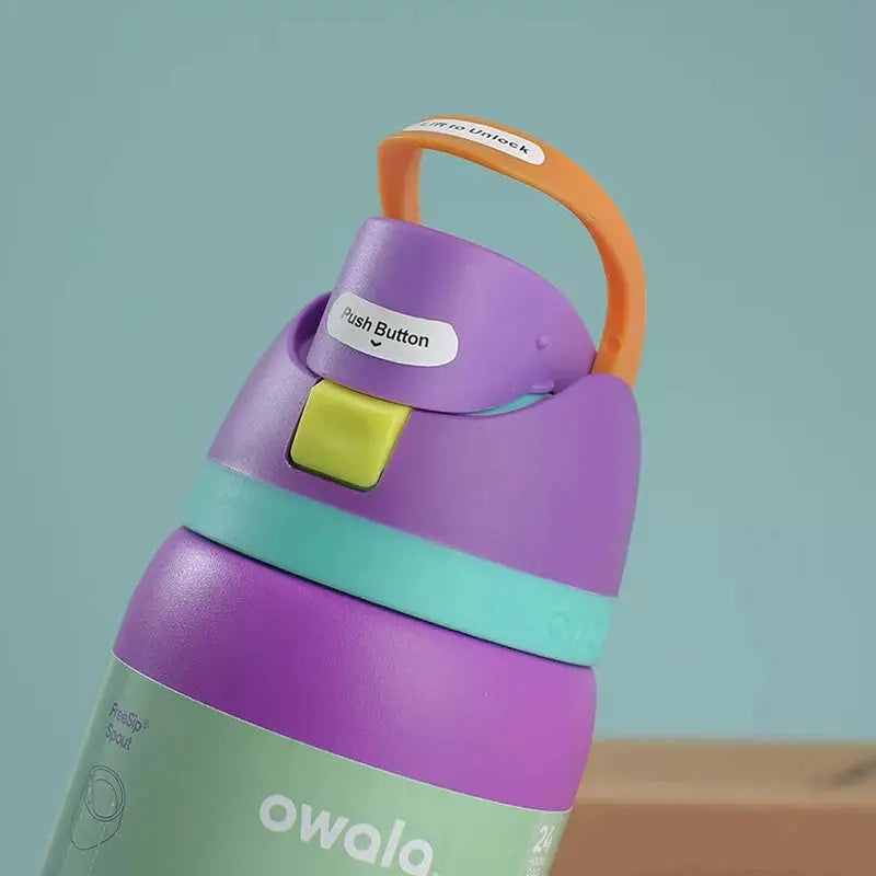 24 oz Stainless Steel Water Bottle