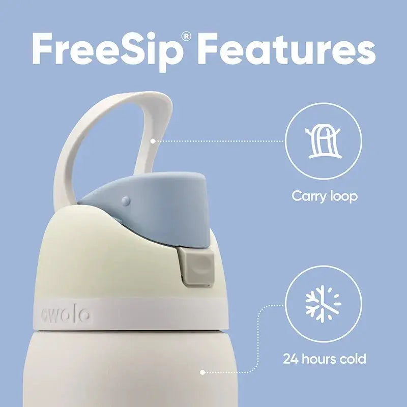 24 oz Stainless Steel Water Bottle