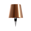 Bronze