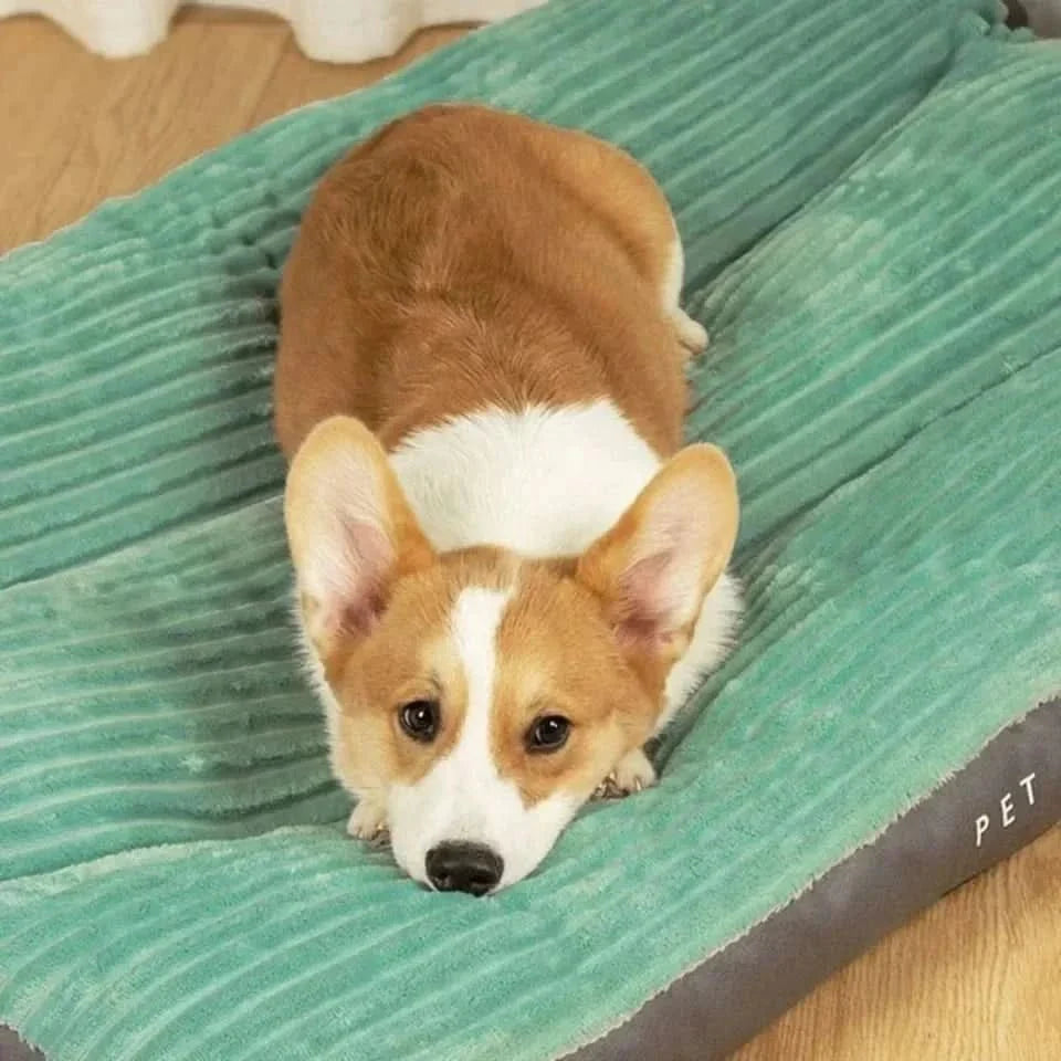 Cozy Comfort Bed for Dogs