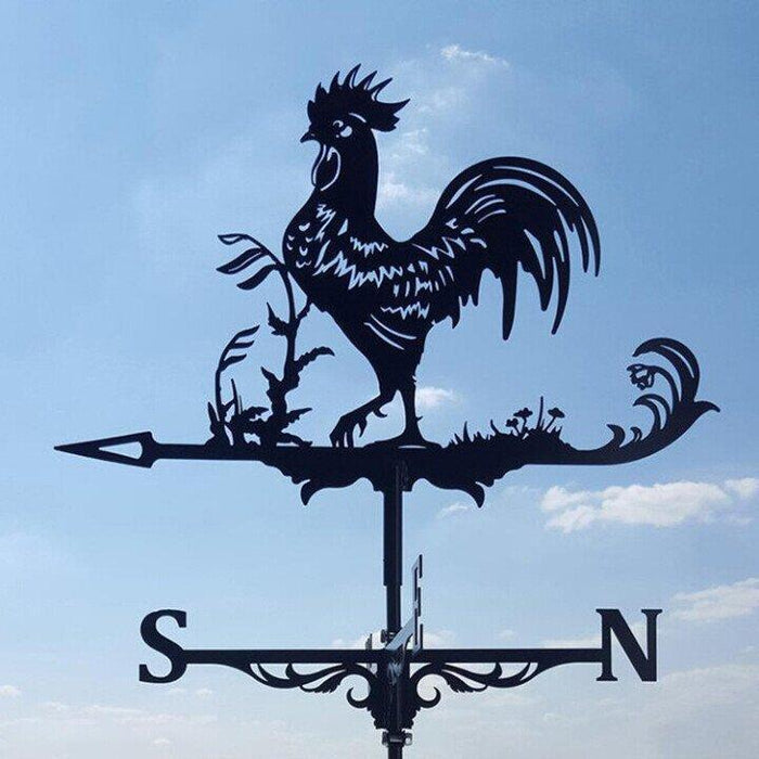 Eccentric Weather Vane for the Garden