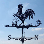 Eccentric Weather Vane for the Garden