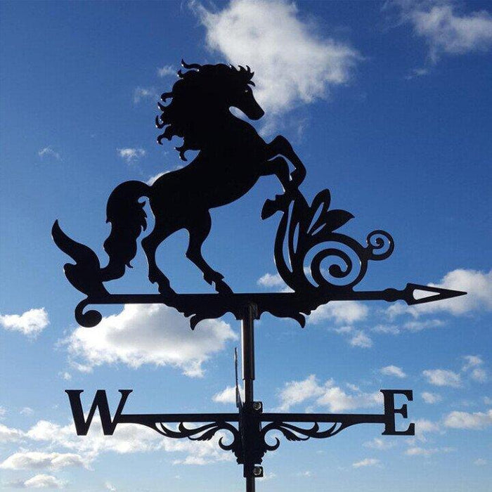 Eccentric Weather Vane for the Garden