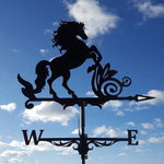 Eccentric Weather Vane for the Garden