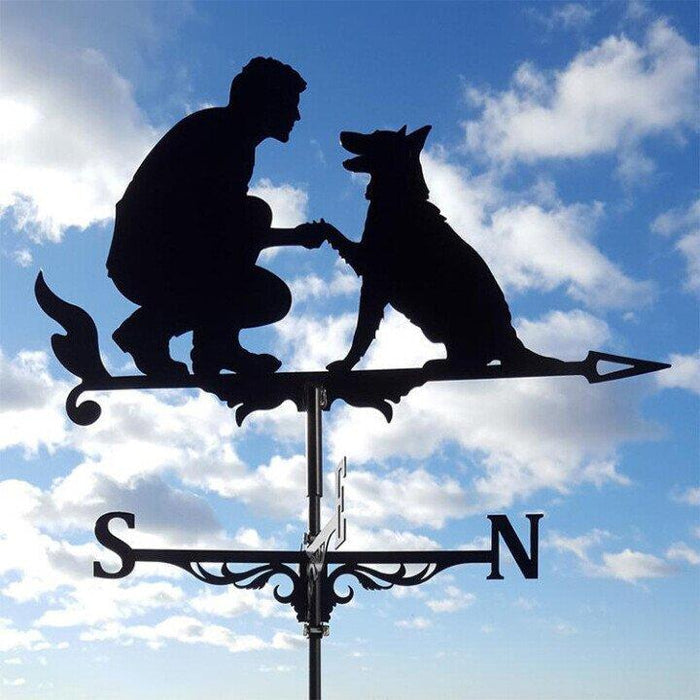 Eccentric Weather Vane for the Garden